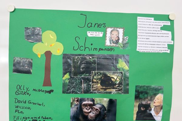 Plakat zu Schimpansen und Jane Godall
